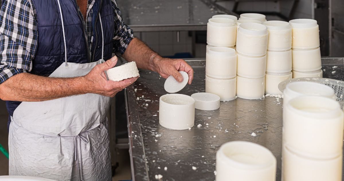 Elaboración artesanal de Quesos Bolaños durante el moldeado