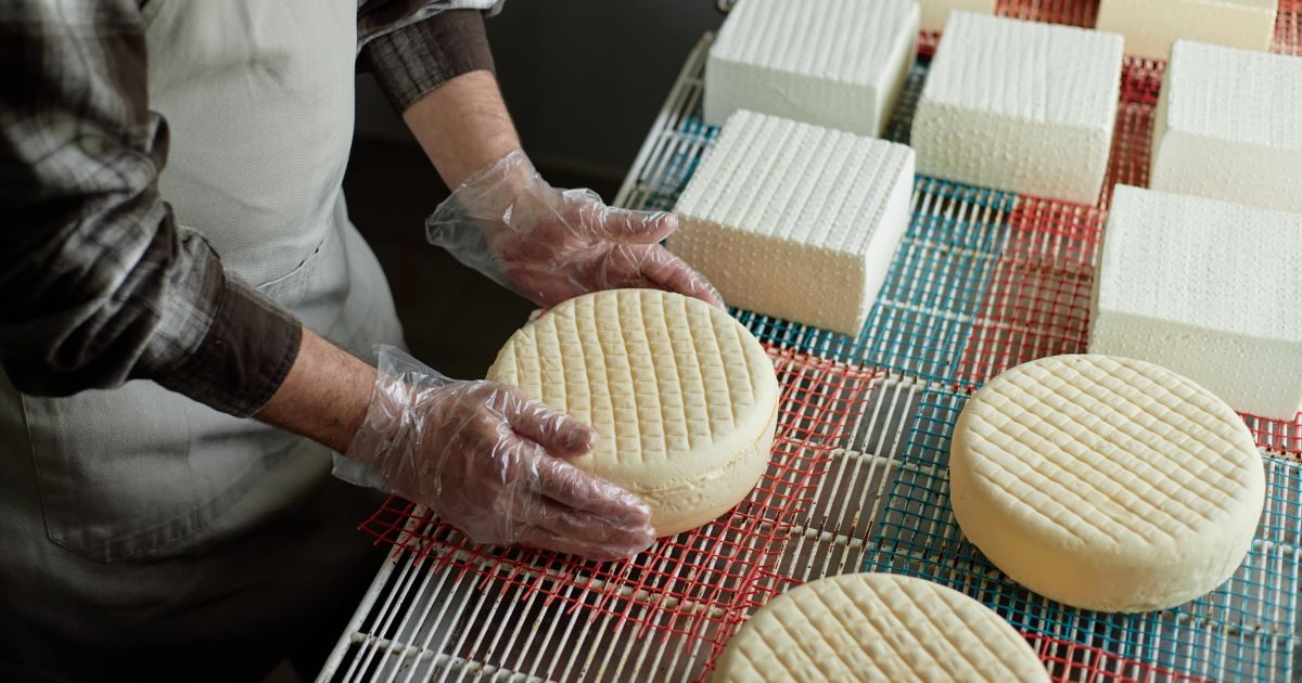 Fila de quesos sobre una mesa de Quesos Bolaños en Gran Canaria