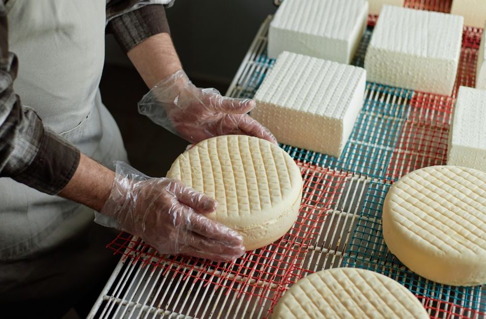 Fila de quesos sobre una mesa de Quesos Bolaños en Gran Canaria