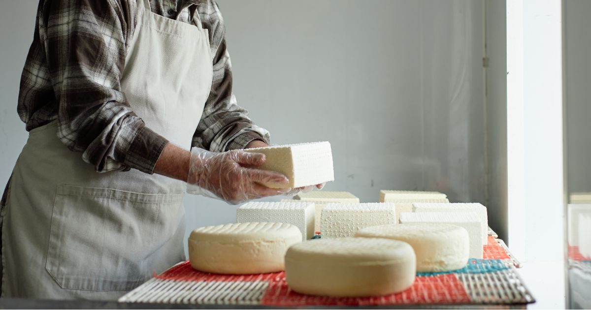 Persona adulta con varios quesos delante en Gran Canaria de Quesos Bolaños