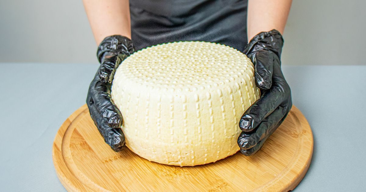 Persona con guantes negros tocando un queso de Quesos Bolaños en Gran Canaria