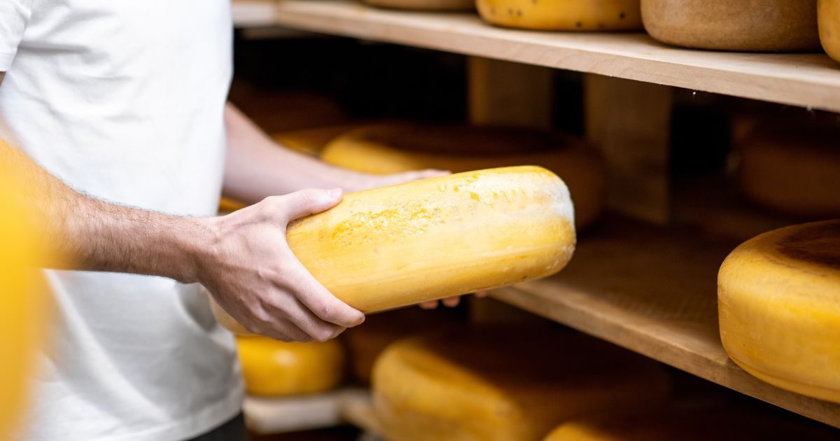 Proceso de maduración de quesos artesanales de Quesos Bolaños en Gran Canaria