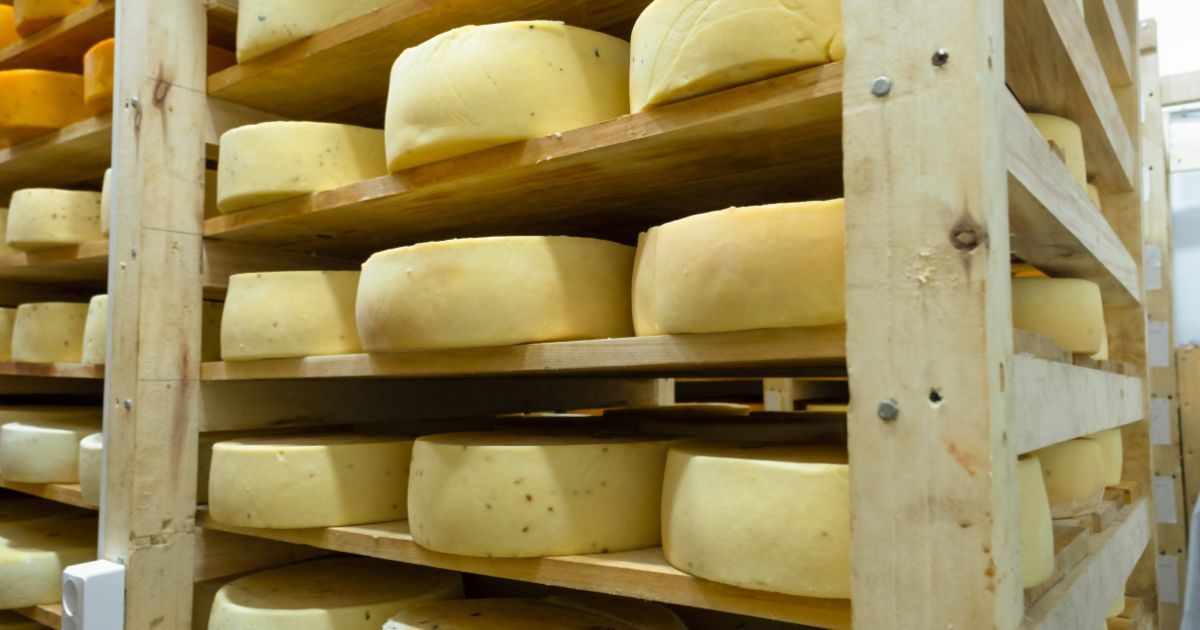 Quesos artesanales de Quesos Bolaños en proceso de maduración en estanterías
