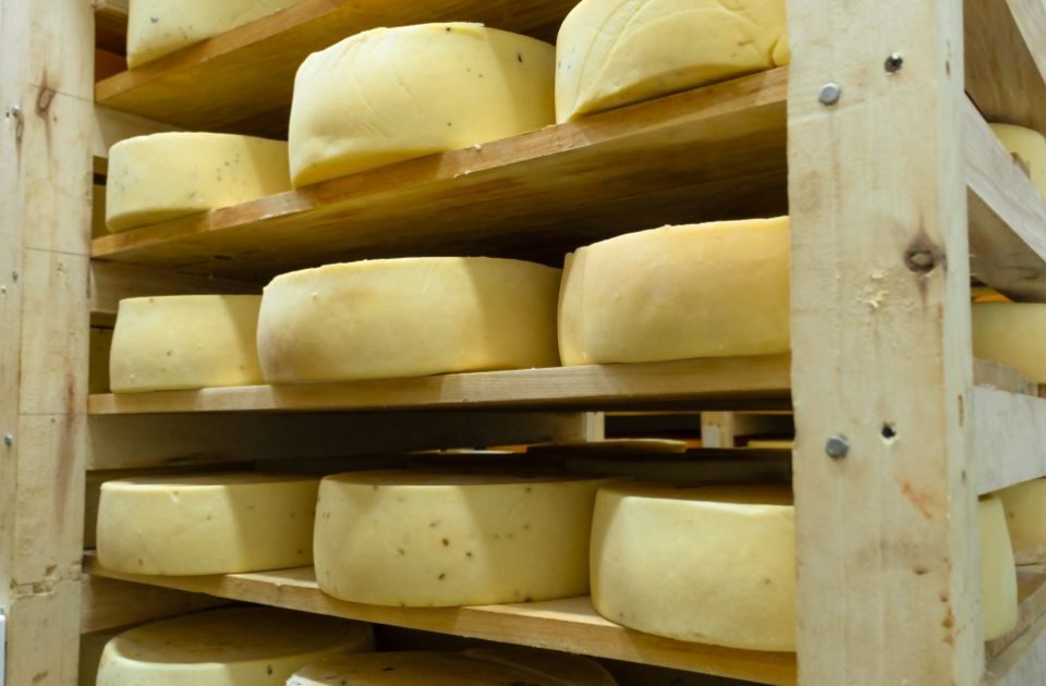 Quesos artesanales de Quesos Bolaños en proceso de maduración en estanterías